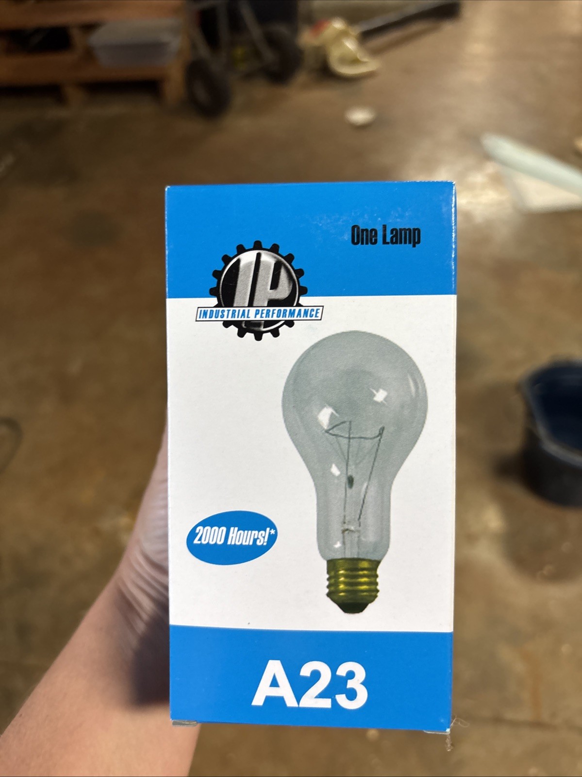12 A23 Light Bulbs