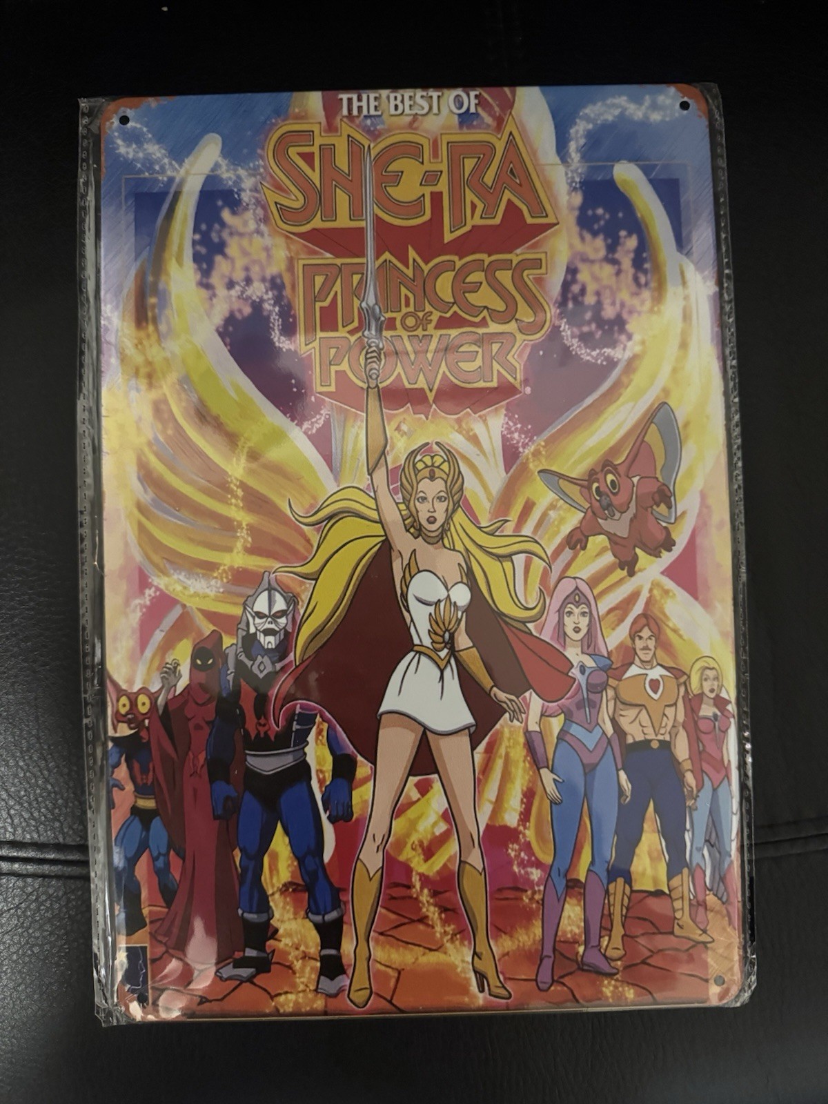 She-Ra Princess of Power Metal Sign 11.8×7.8in Pre-drilled Holes Wall Mounted