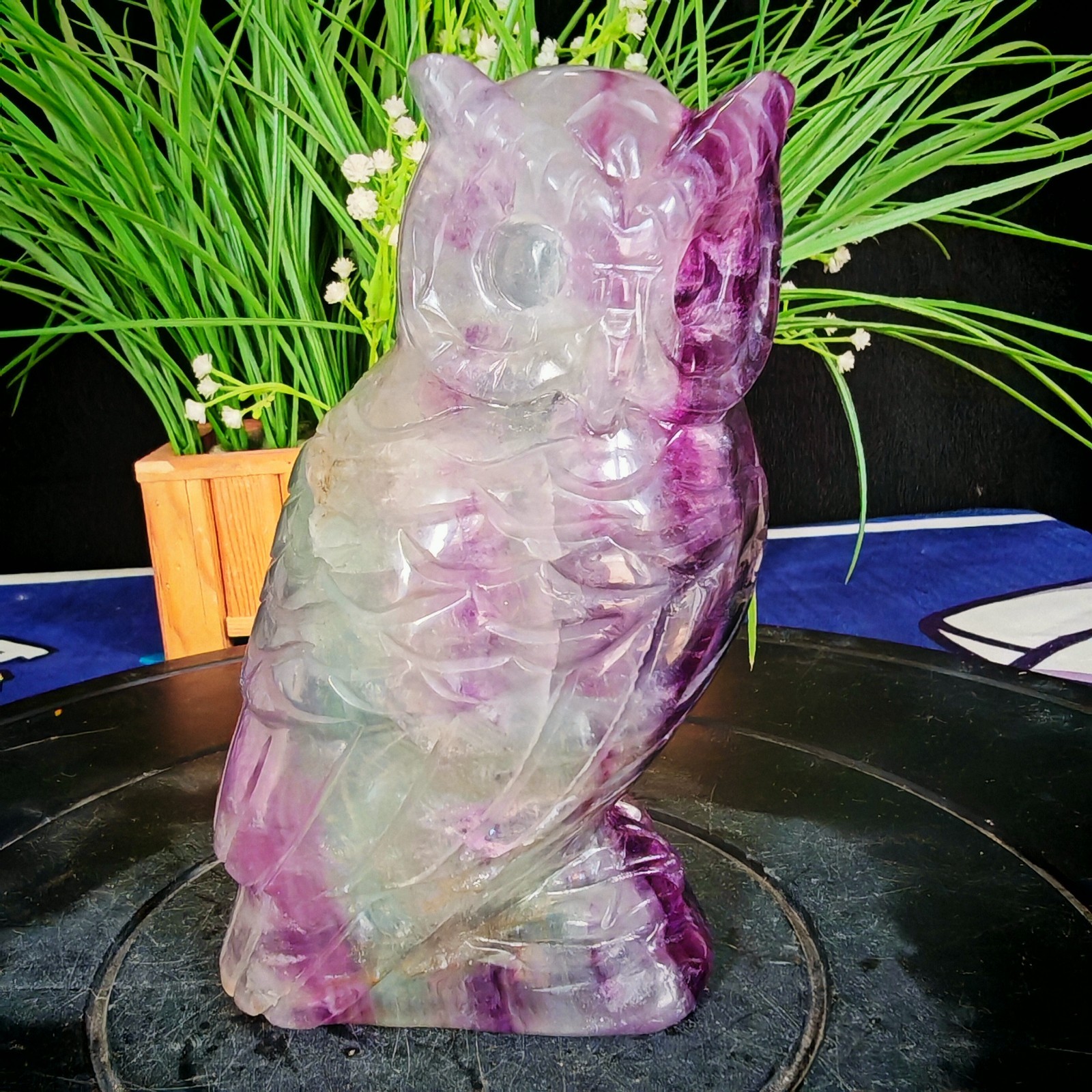 3.41LB TOP Natural Fluorite owl quartz crystal Hand-carved ornament healing