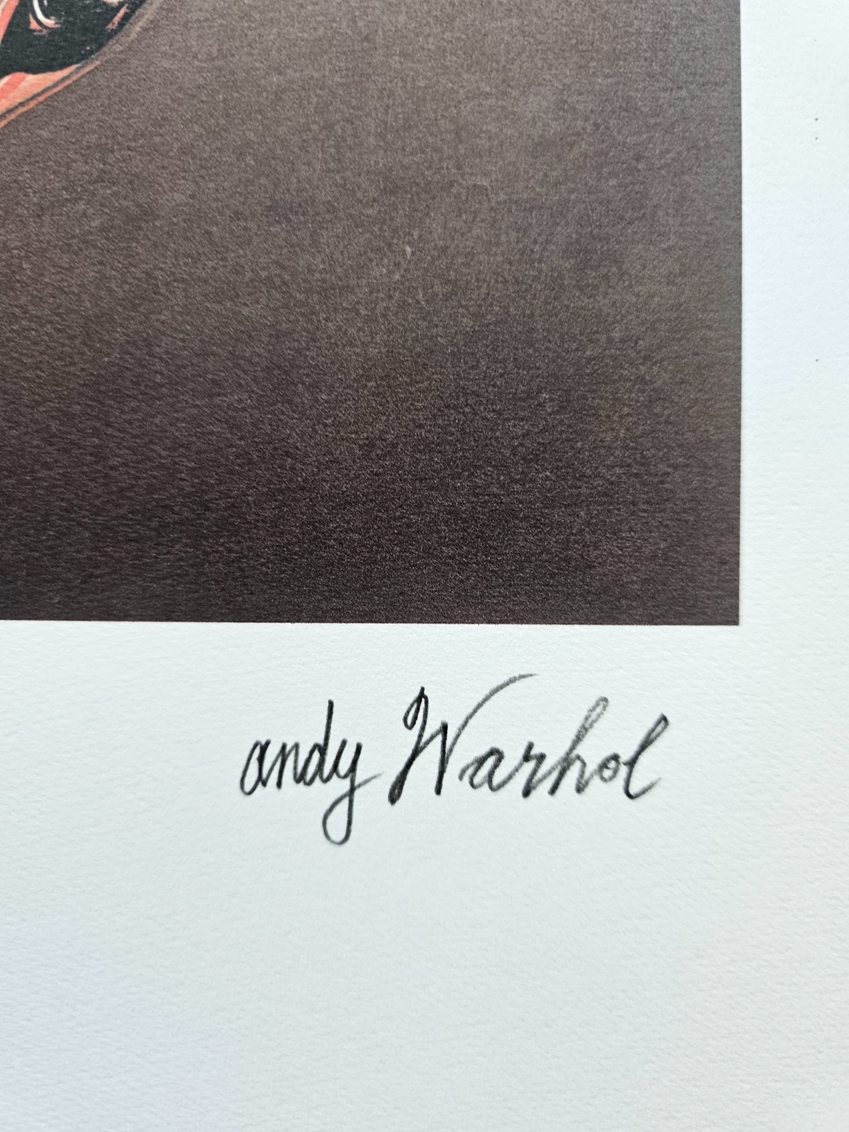 ANDY WARHOL SKULL WHITE SIGNED + HAND NUMBERED 1733/5000 LITHOGRAPH pop art
