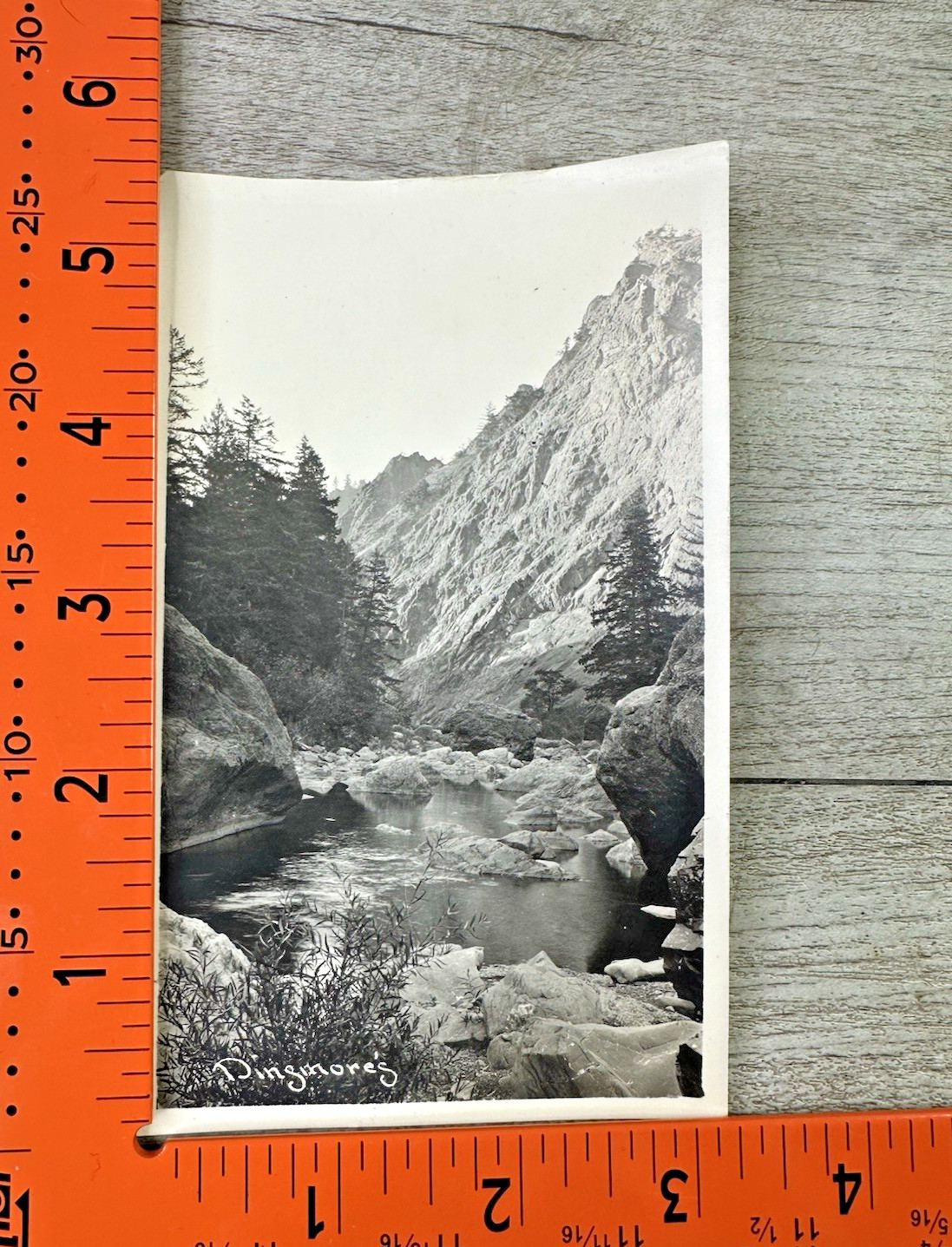 Vintage Dinsmore’s Professional Outdoor Black & White Photo Canyon Trees River