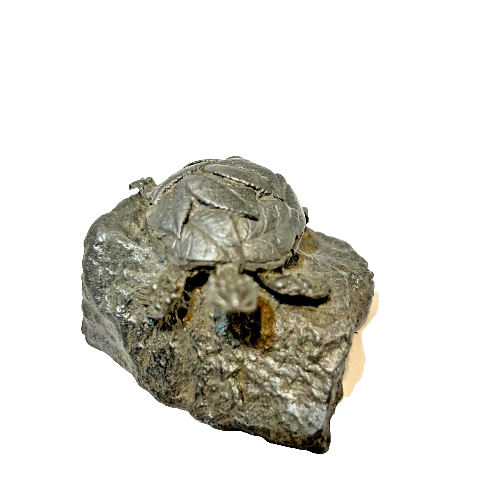 Rare Vintage Kelly Waters Embossed Pewter Turtle on Rock Figurine 2 x 1 inch