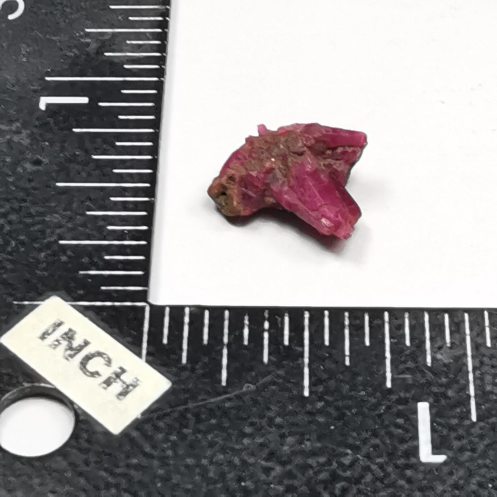 5.00ct Ruby / Luc Yen, Vietnam / Rough Crystal Gem Gemstone Mineral Specimen