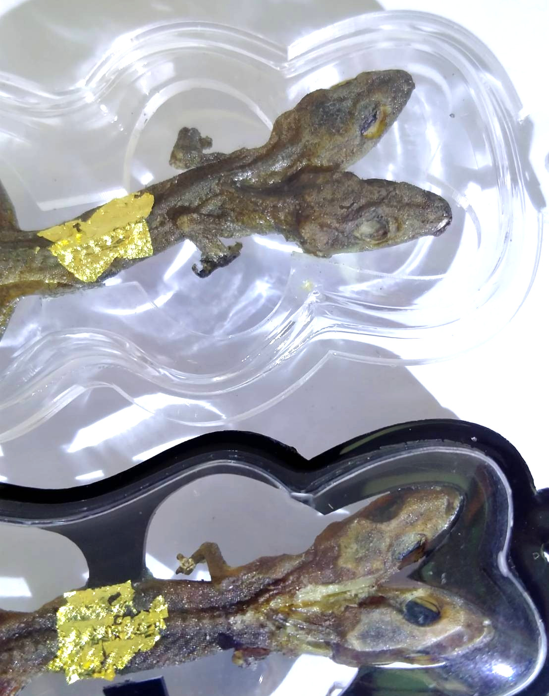 2pcs 2Head 9Tail Lizard Thai Amulet Lucky Wealth Gambling Money Charm Powerful