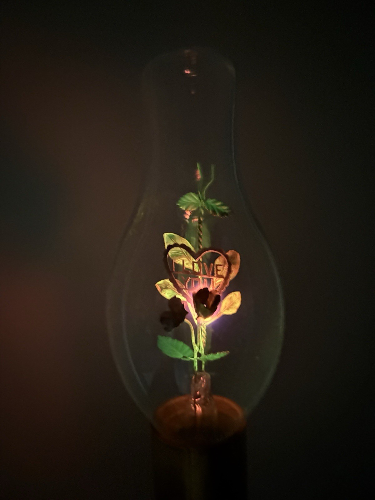 Vintage Aerolux Style I Love You HEART & FLOWERS Light Bulb