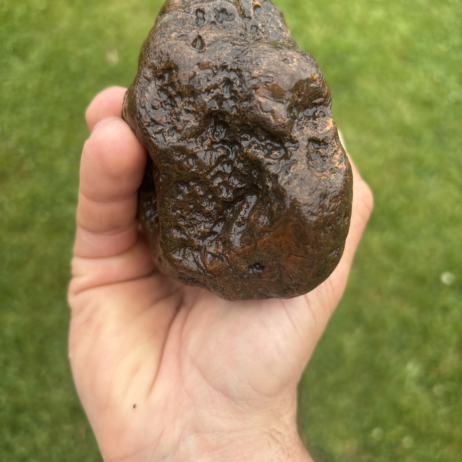 Giant Lake Superior Agate. 1lb 15.7oz. Solid.