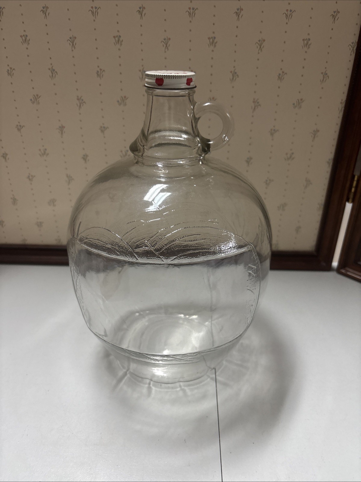 APPLE CIDER VINEGAR GLASS One GALLON JUG w/ Cap Embossed Leaves Vintage