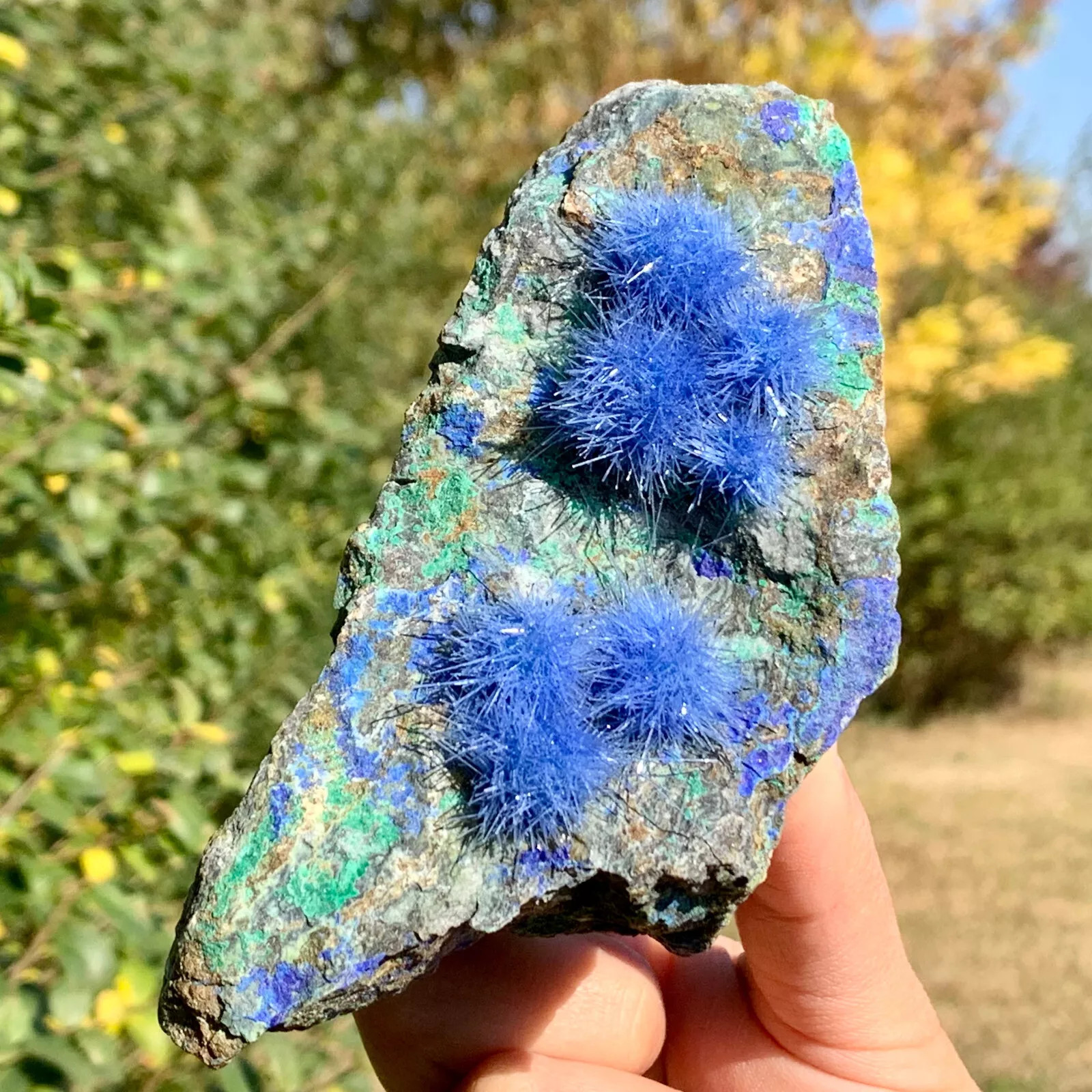 Natural Raw Dandelion Zeolite Cluster Titanium Geode Quartz Crystal SpecimenGift