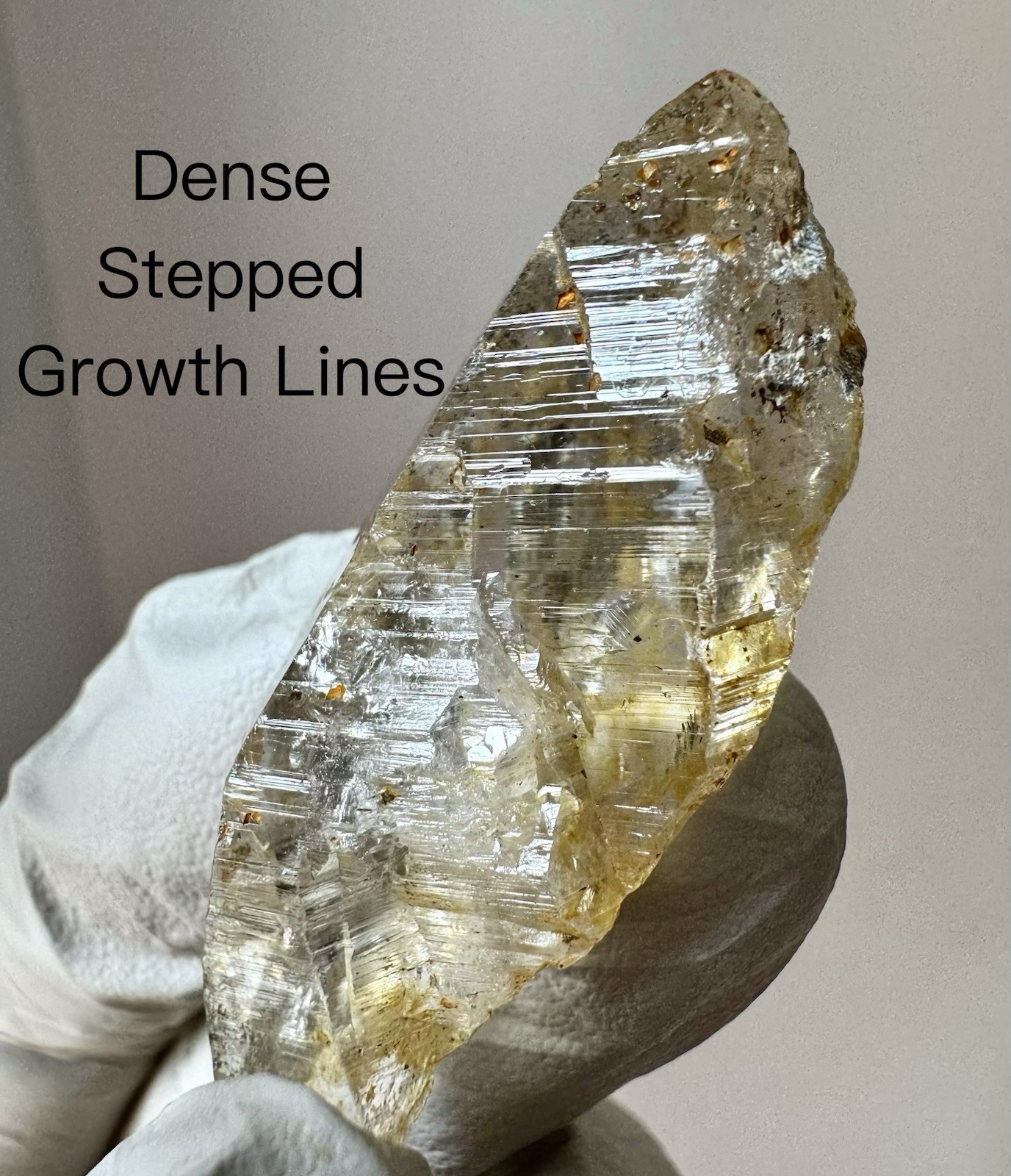 “Golden Vein” Ganesh Himalayan Quartz Akashic Natural Golden Iron healed Crystal