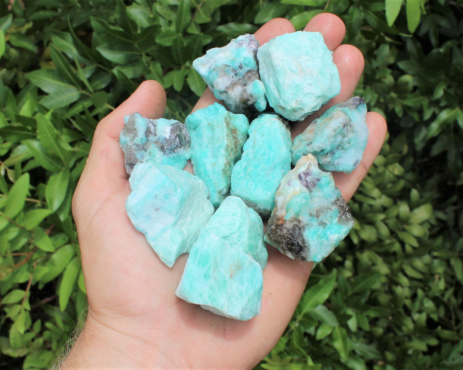 Raw Natural Amazonite Crystals: Choose How Many Pieces (Rough Amazonite Crystal)