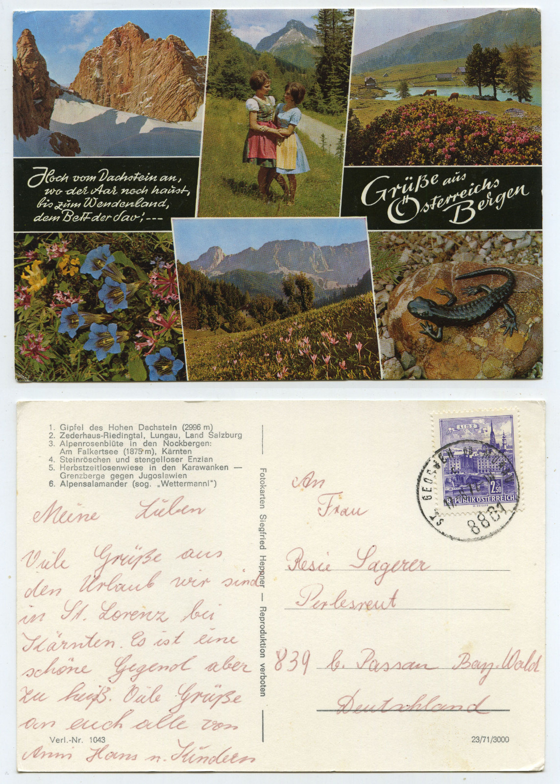 54128 – greetings from Austria’s mountains – postcard, used St. Georgen 17.6.1972