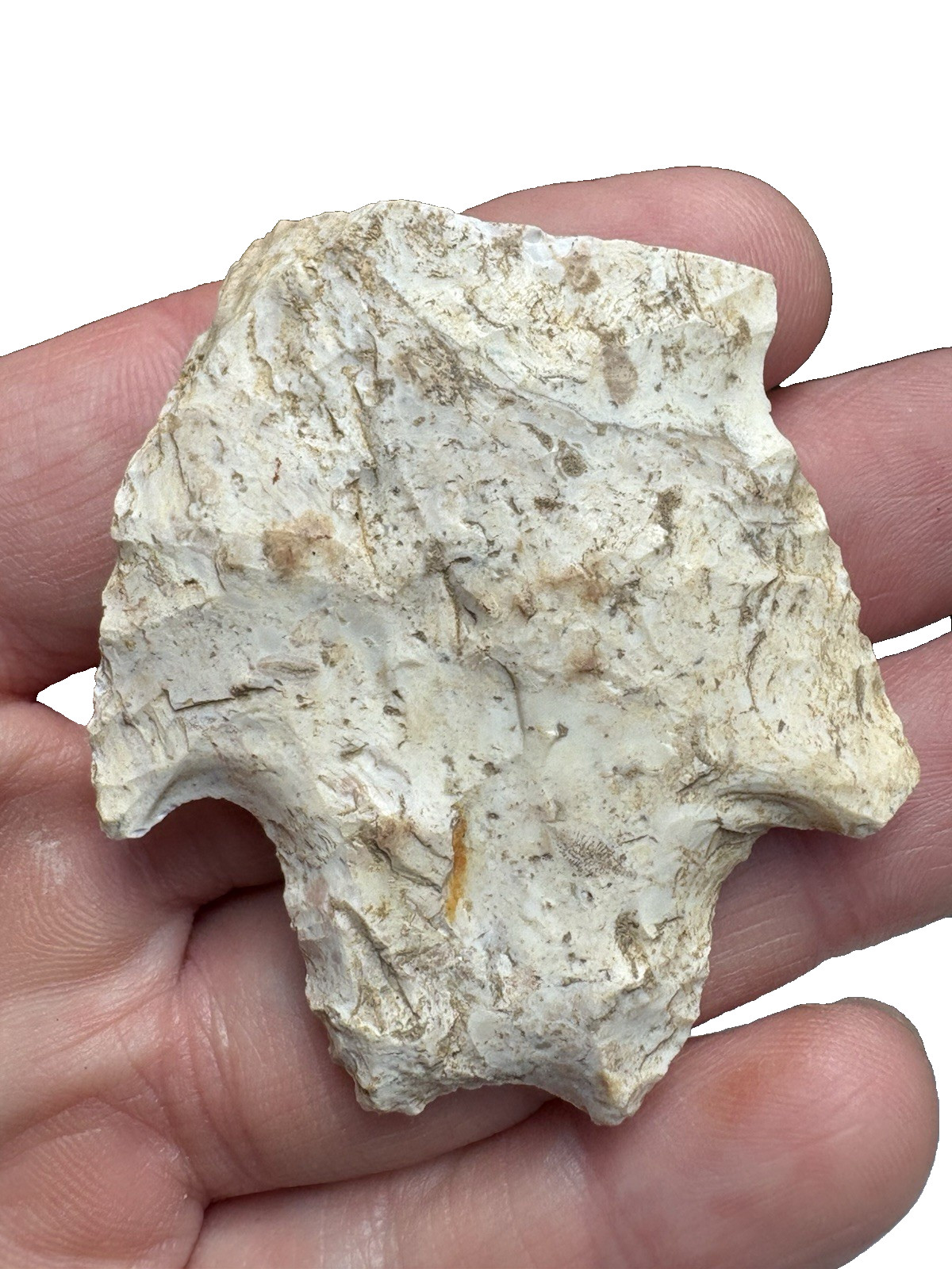 GUARANTEED Ancient Snapped Indian Artifact with Fossil Inclusions 2″x 2″