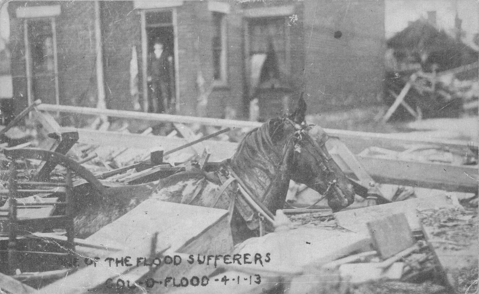 Columbus Ohio Horse Trapped in Flood Debris 1913 Disaster Postcard