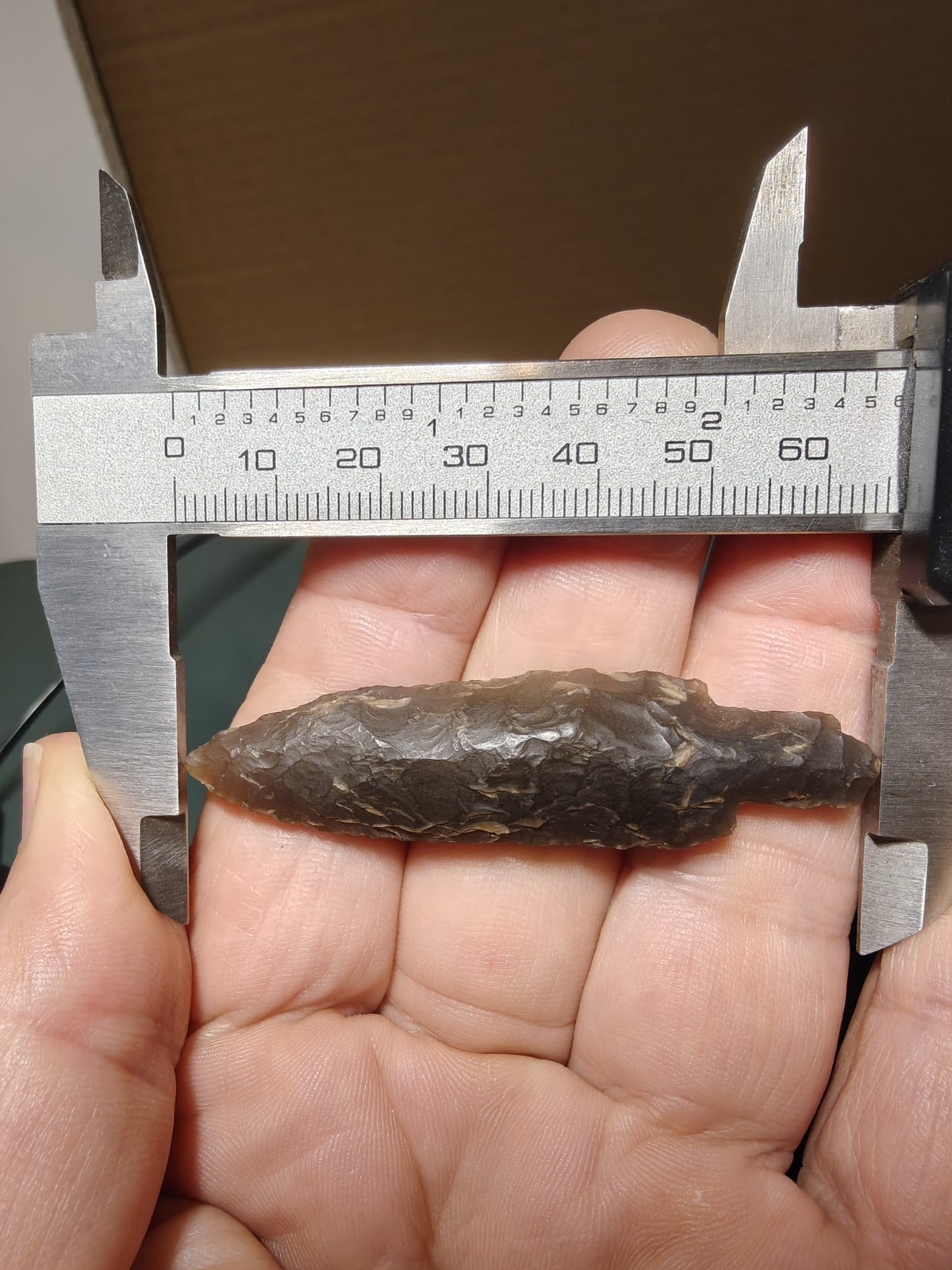 Alaskan Dark Chalcedony Bear Point 2.6″
