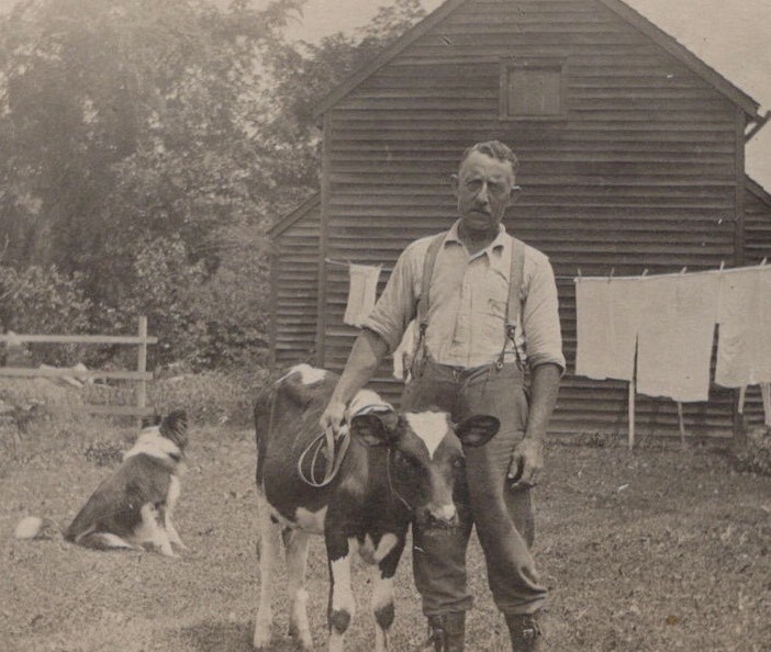 Farmer with Cows Barn and Laundry Rural Farmyard Scene 1940s