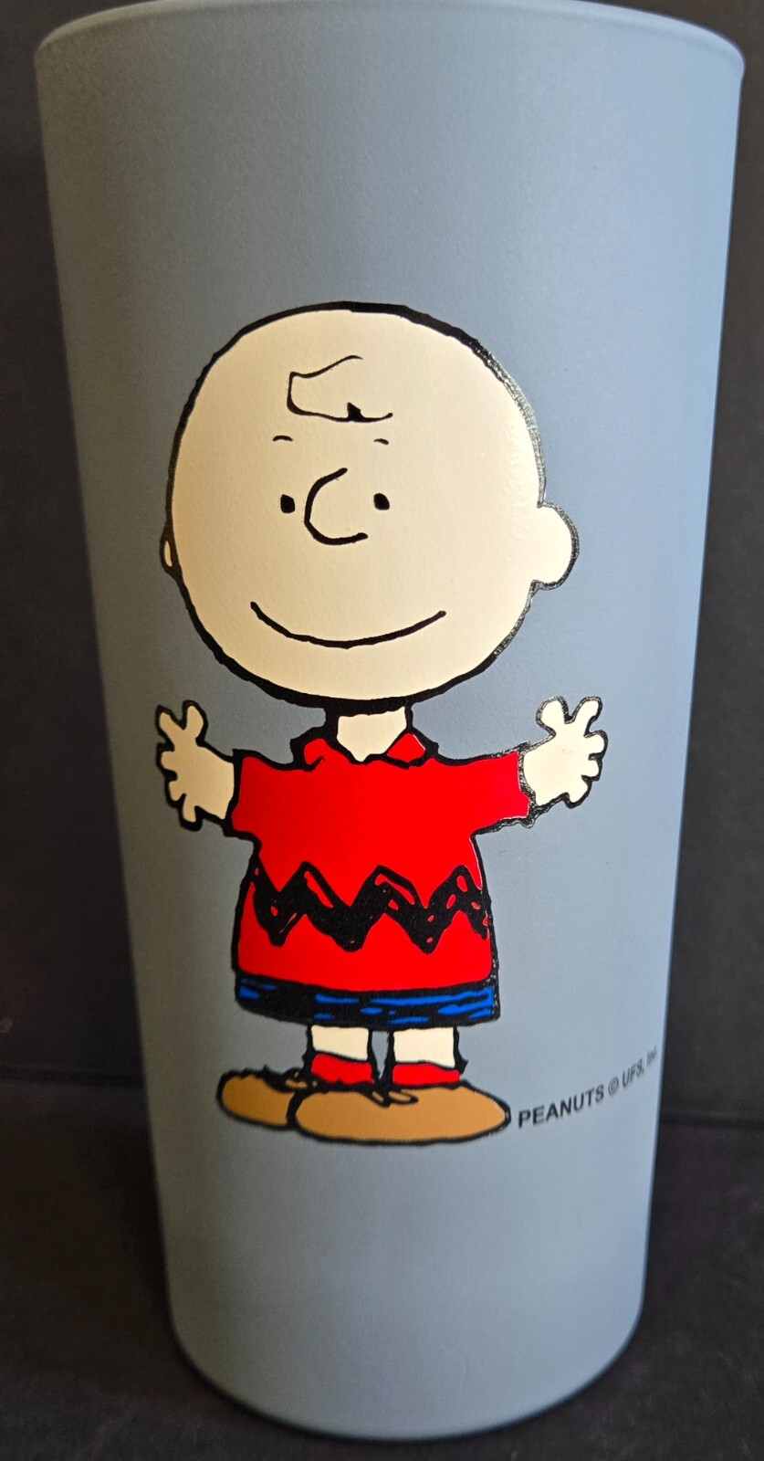 Charlie Brown Peanuts Cedar Fair Point Frosted Glass Gray 6.25 Mug Cup