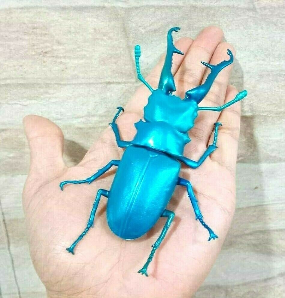 1/1 SO-TA Prosopocoilus Giraffa Blue Giraffe Stag Beetle Real Size Figure