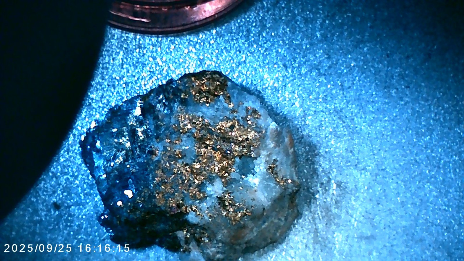 Visible GOLD & CALAVERITE in Quartz Specimen Sunnyside Mine, Silverton COLORADO