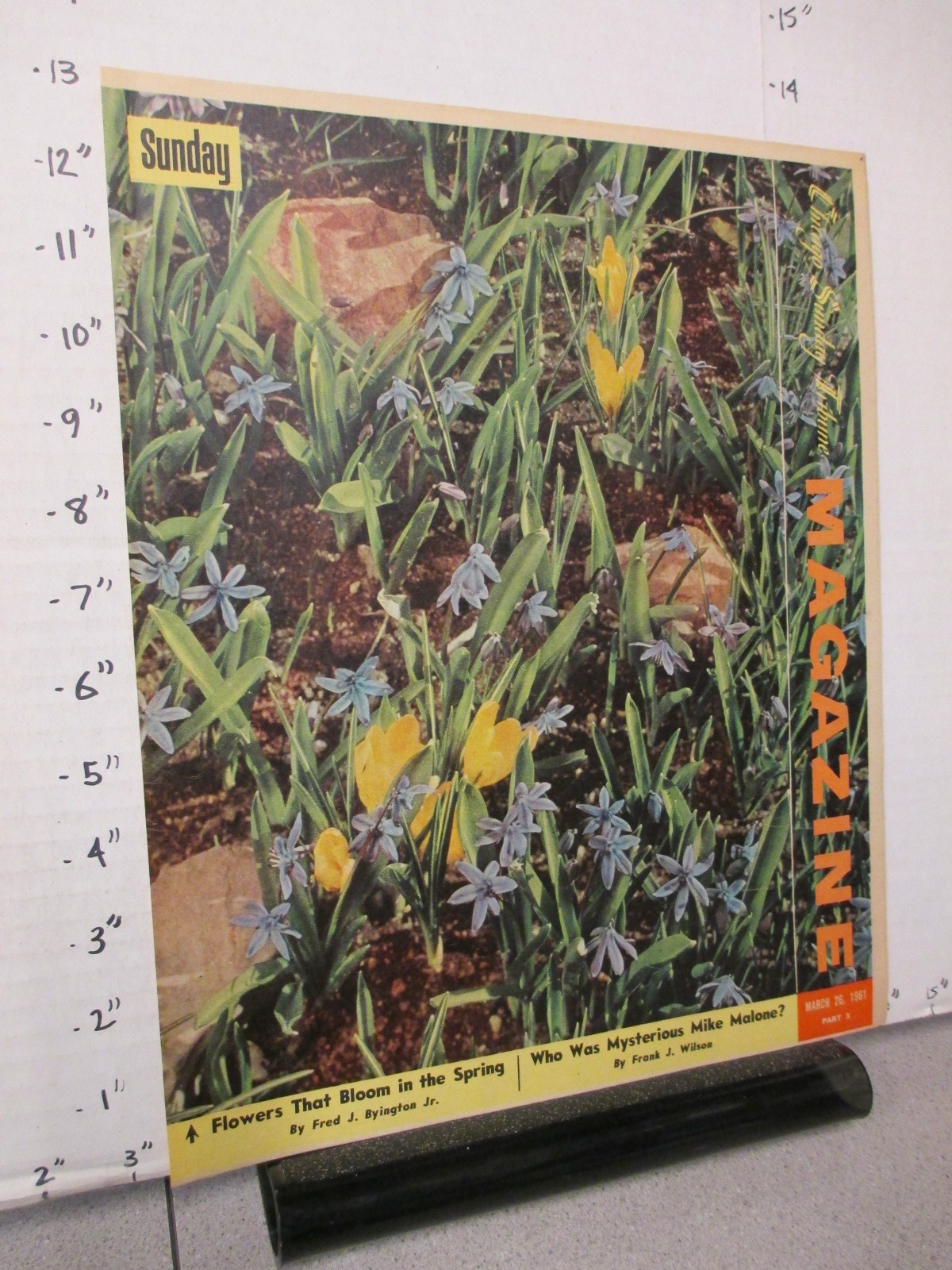newspaper ad 1961 Chicago Tribune cover only spring flowers bloom tulips