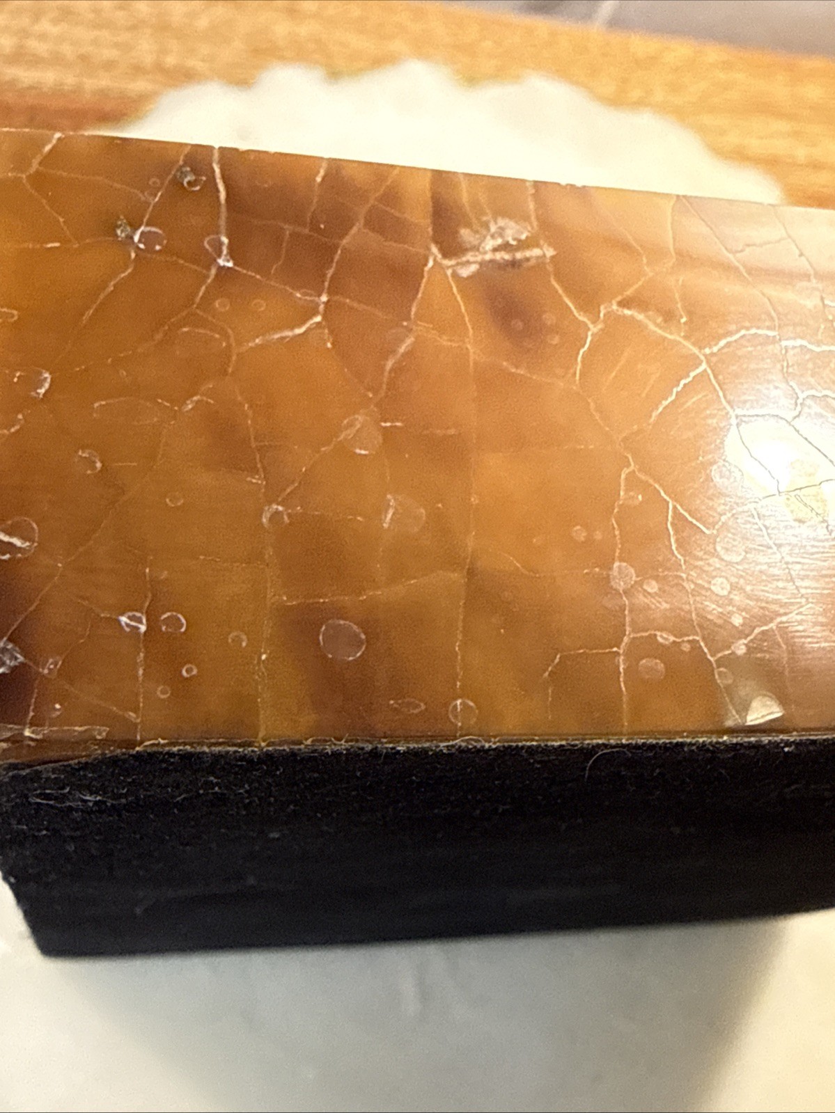 Tiger Pen Shell Box Lift Off Lid 5” x 4.5”