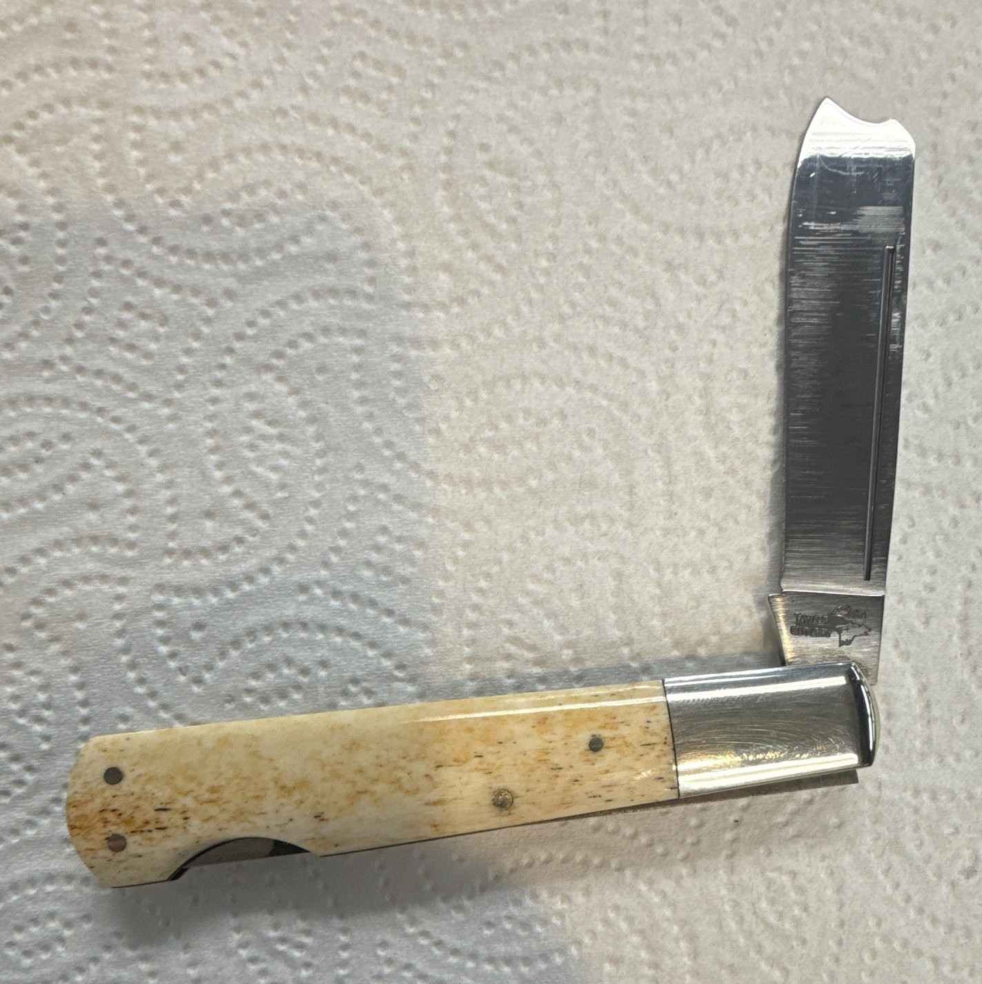 Taylor Cutlery 440 Stainless Bone Handle SS Clip Point Slipjoint Knife