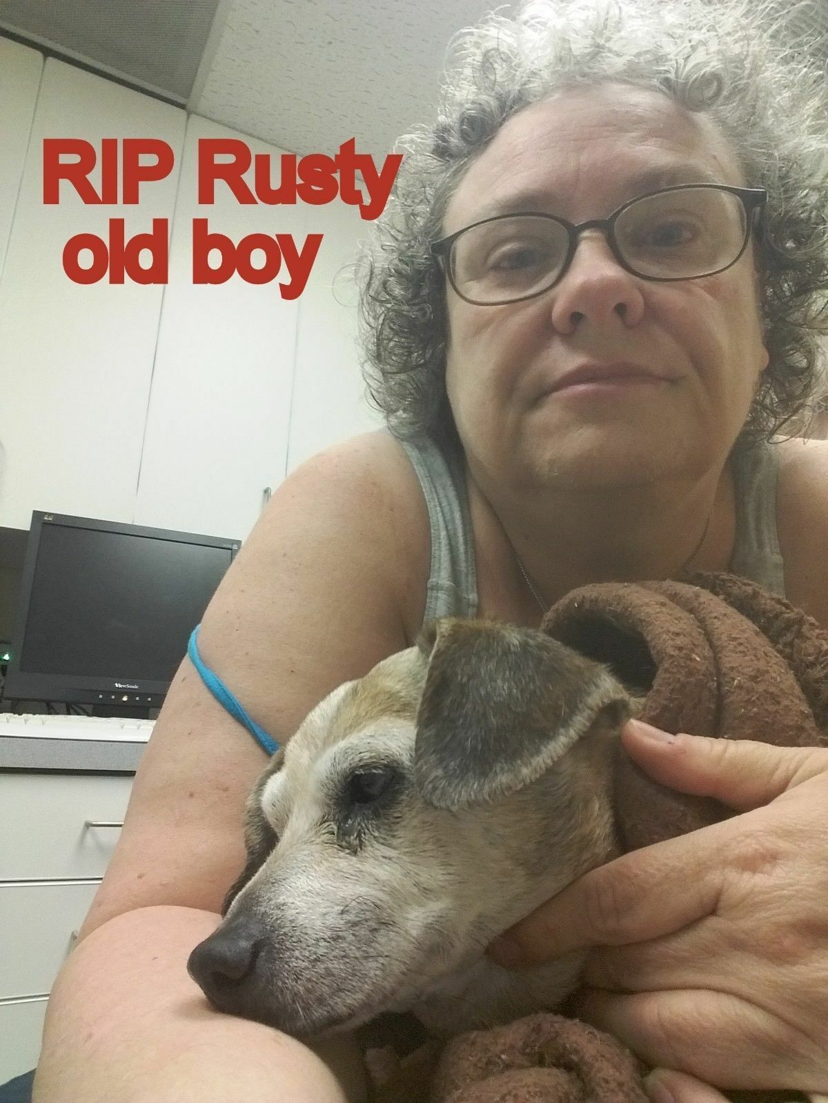2) wooden cardinal birds stripe scarf & Santa hat Christmas ornament or gift tag
