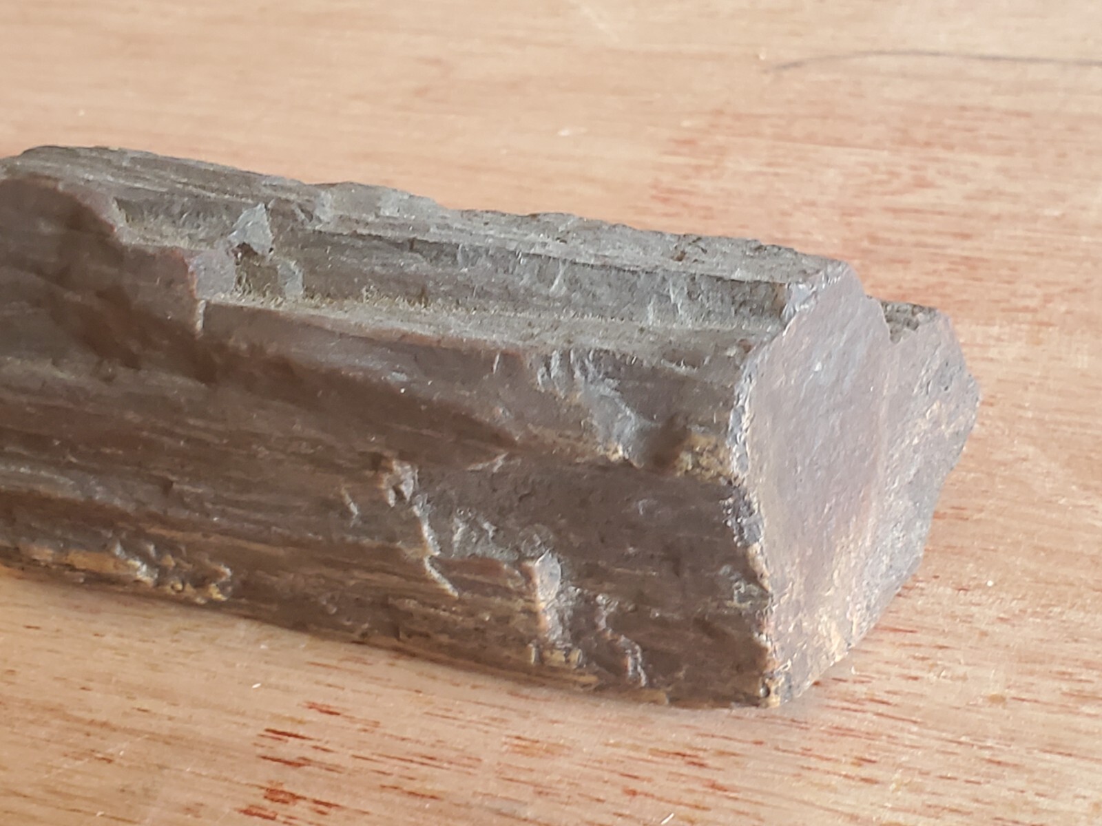 Petrified Wood Tree Log Branch 1+ Pounds Fossil Fossilized 2″ x 4-1/2″ x 2″