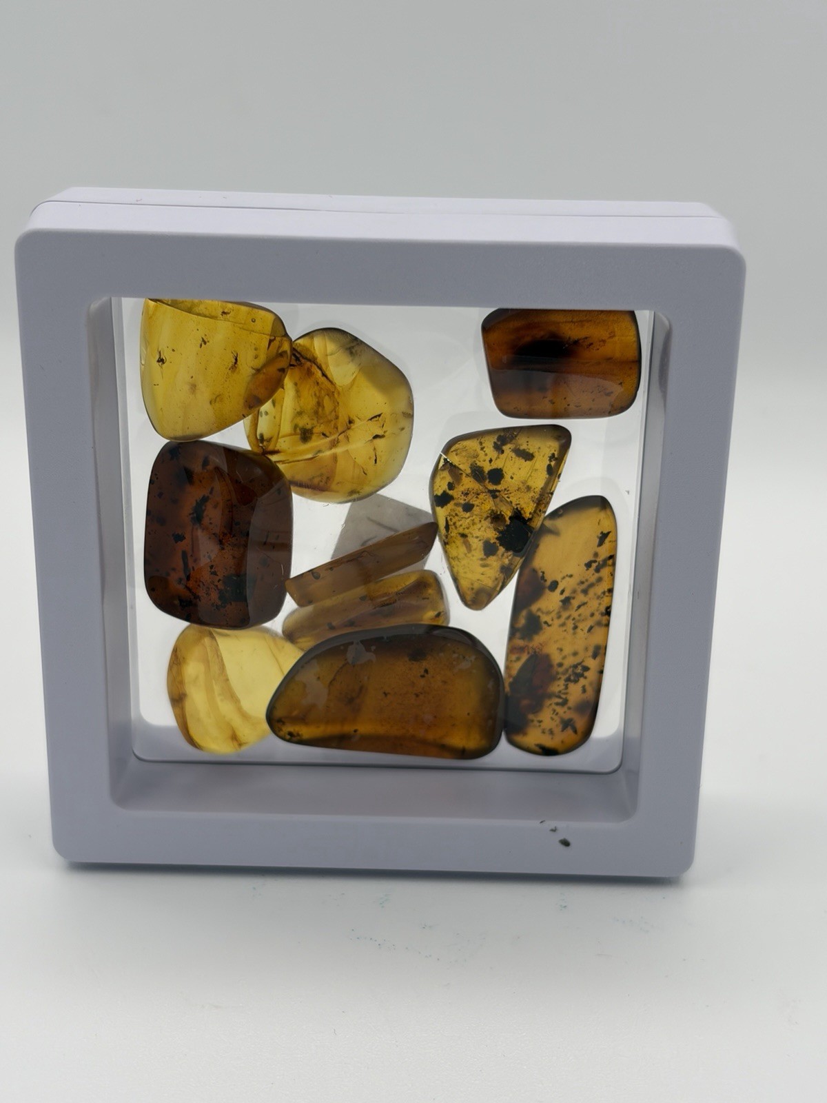 10 pieces authentic Myanmar insect Amber specimen fossil dinosaur age 3.12-16