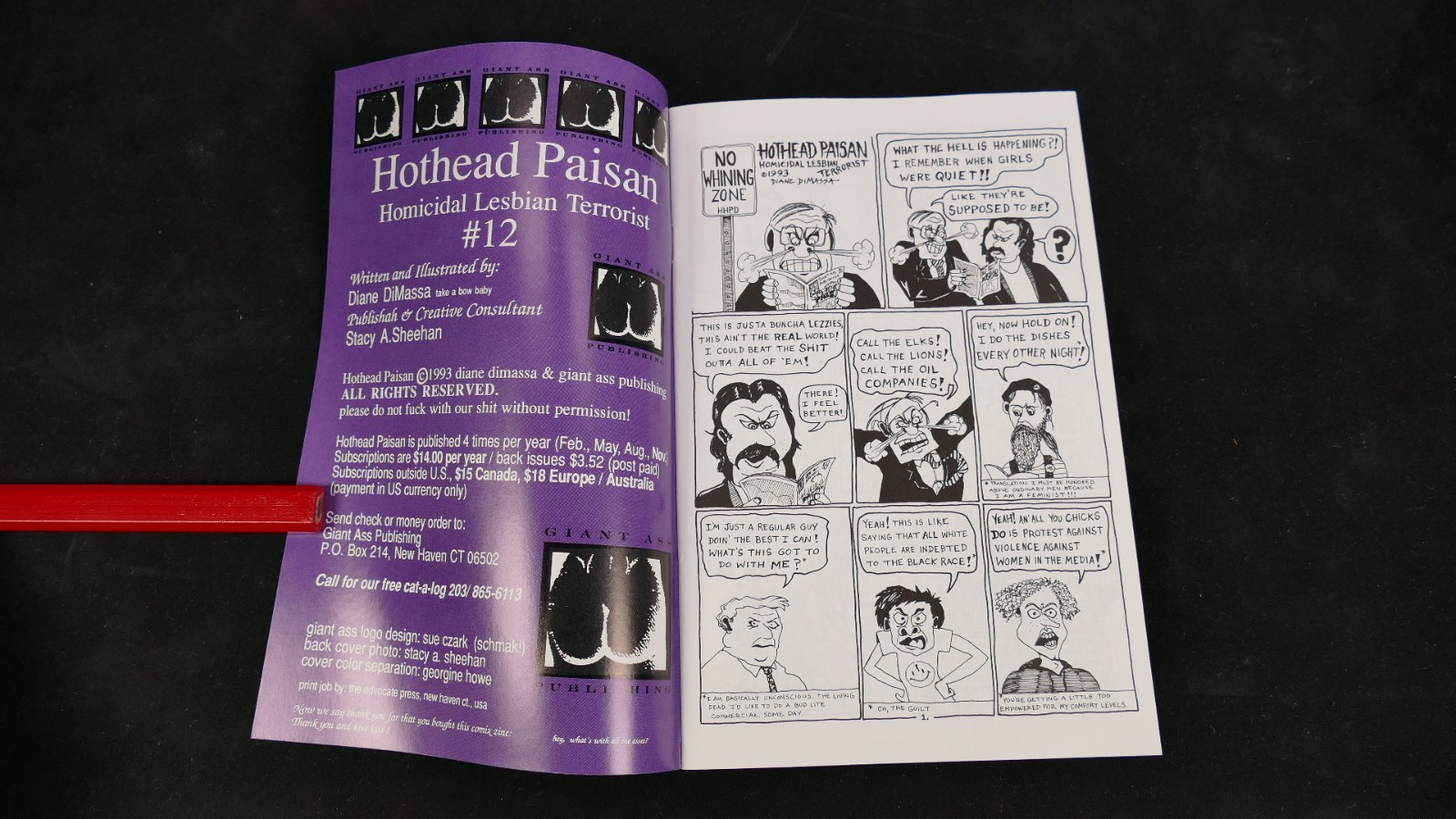 HOTHEAD PAISAN #12 Underground Comic -NEAR MINT- 1st Print RADICAL LESBIAN Comix