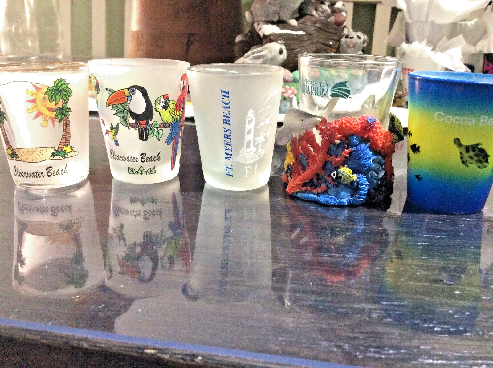 5 pc Shot Glasses Set Glass Bar Drinks Souvenir Beaches of Florida Aquarium Sun