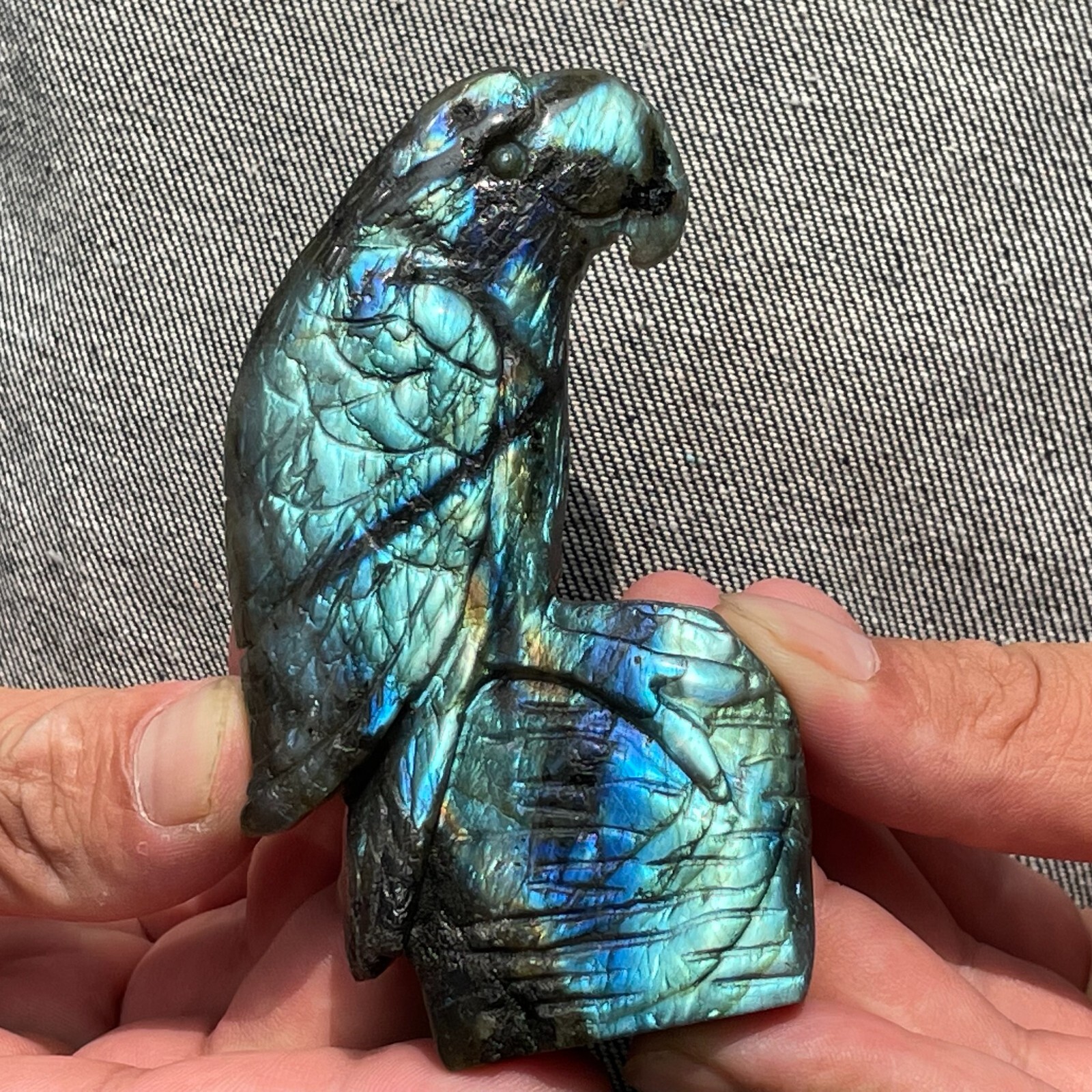 0.33LB TOP!Natural labradorite Quartz hand carved Crystal parrot reiki healing