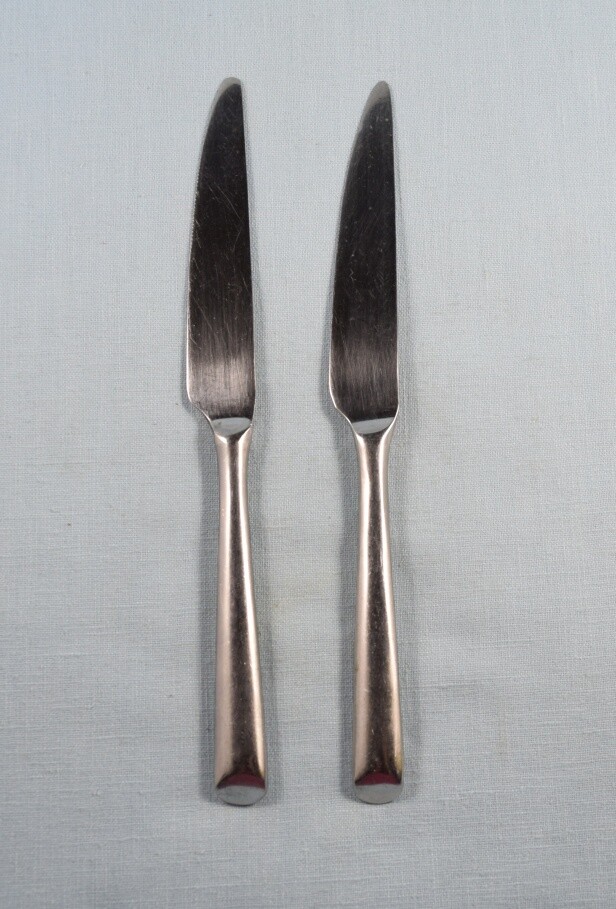 Cambridge Stainless China PARADISE Angled Tip 2 French Dinner Knives 8 5/8″