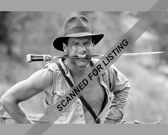 Harrison Ford as Indiana Jones And The Temple of Doom 8×10 PHOTO #8609