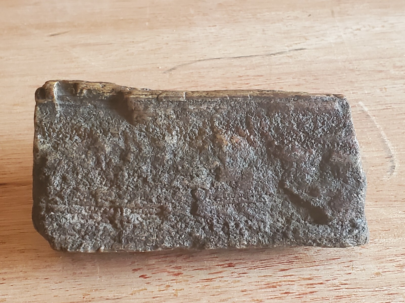 Petrified Wood Tree Log Branch 1+ Pounds Fossil Fossilized 2″ x 4-1/2″ x 2″