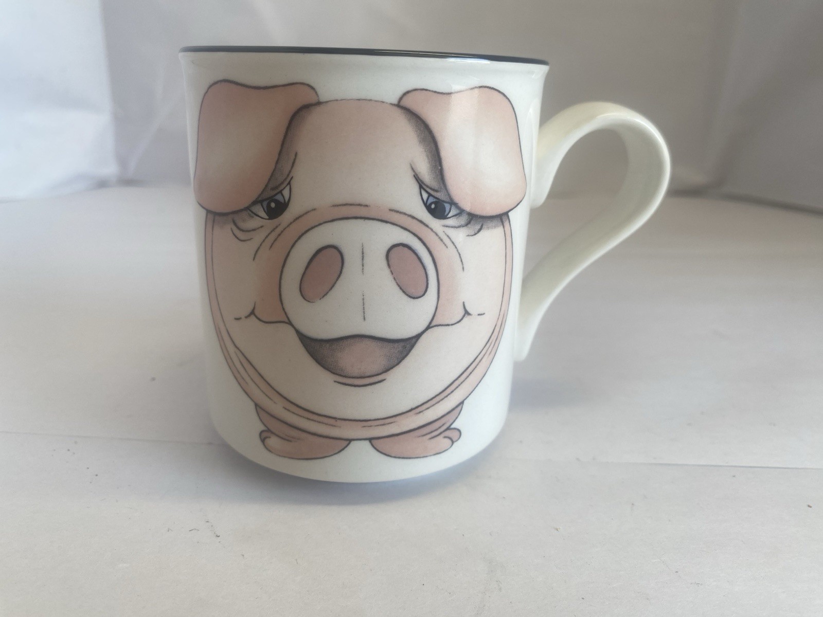 Vtg Arthur Wood Made In England Pig Face & Butt Coffee Mug NICE