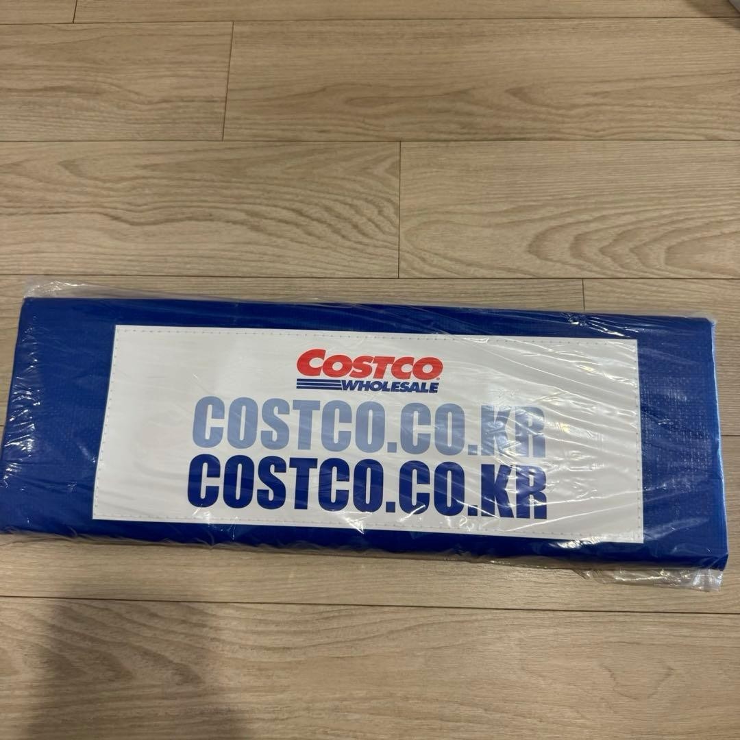 Costco Shopping Bag Korea Limited Rare Ware House Model Limited Edition VHTF Col