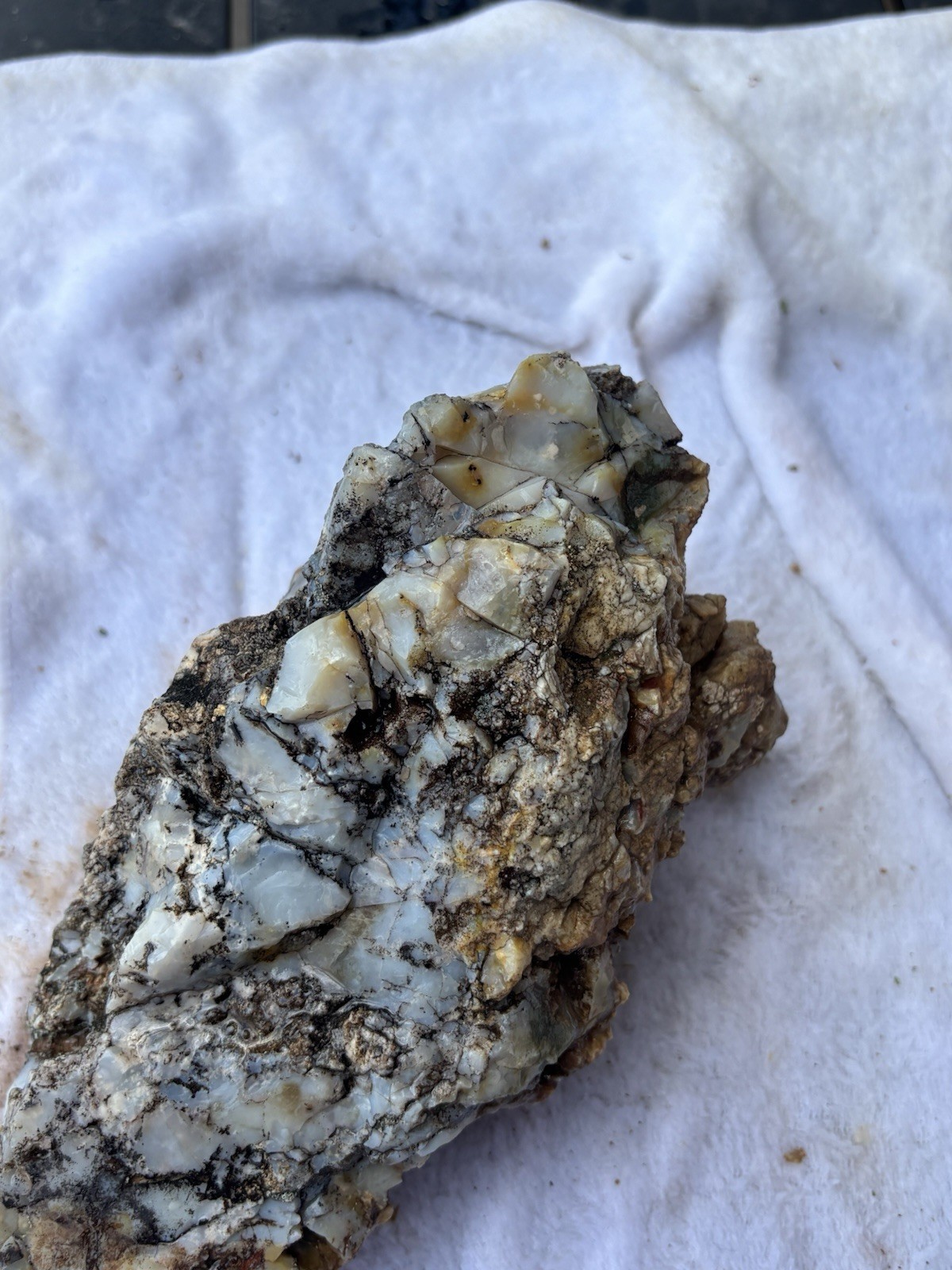 Colorado Opal From The Western Slope – Blue/white, 4.15 Pounds