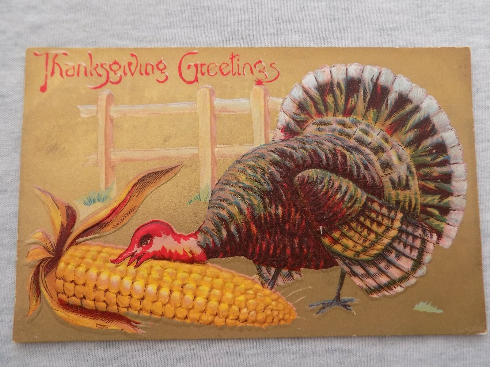 Thanksgiving Greetings Turkey Eating Corn embossed Postcard Winsch back Unposted