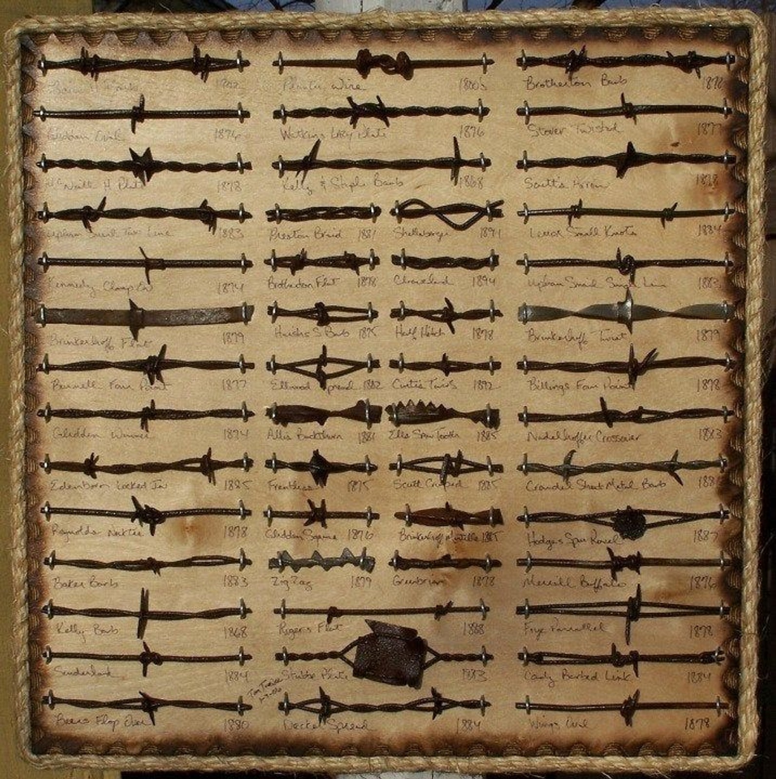 Antique Barbed Wire Display 50 cut’s Authentic Barbwire