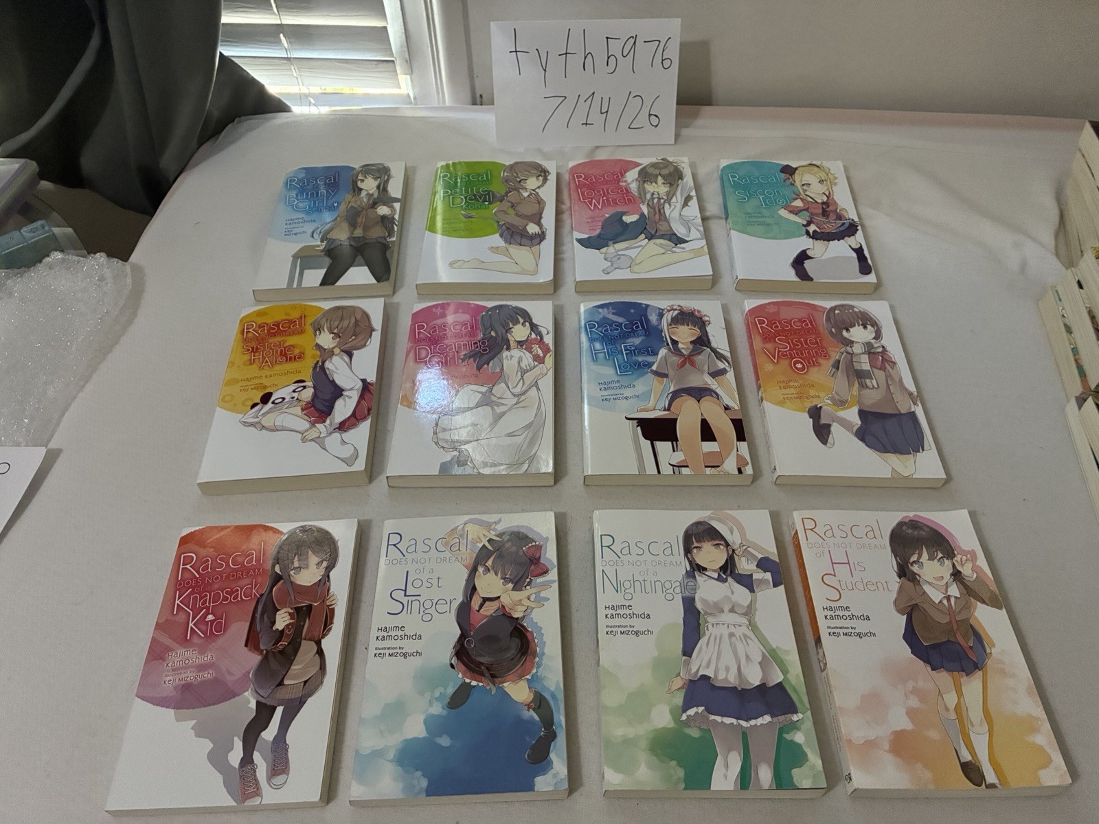 Rascal Does Not Dream of: Light Novel Volumes 1-12
