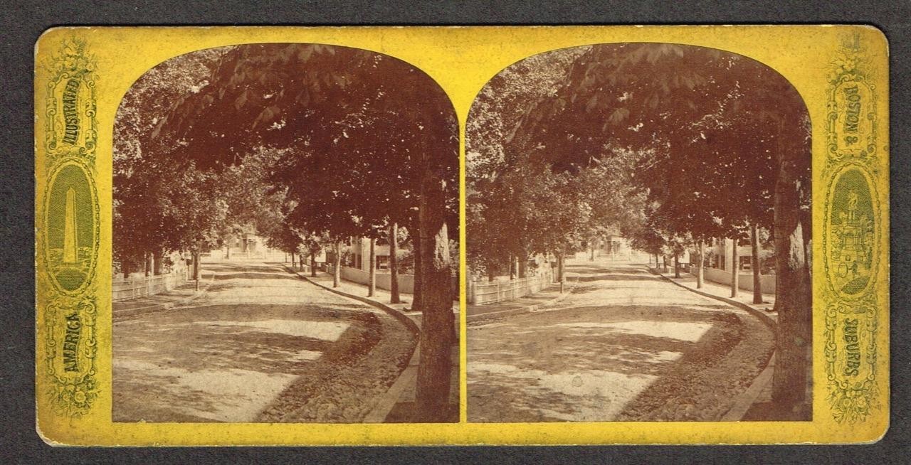 b465, America Illustrated Stereoview, # -, Kenilworth St., Highlands, MA, 1870s