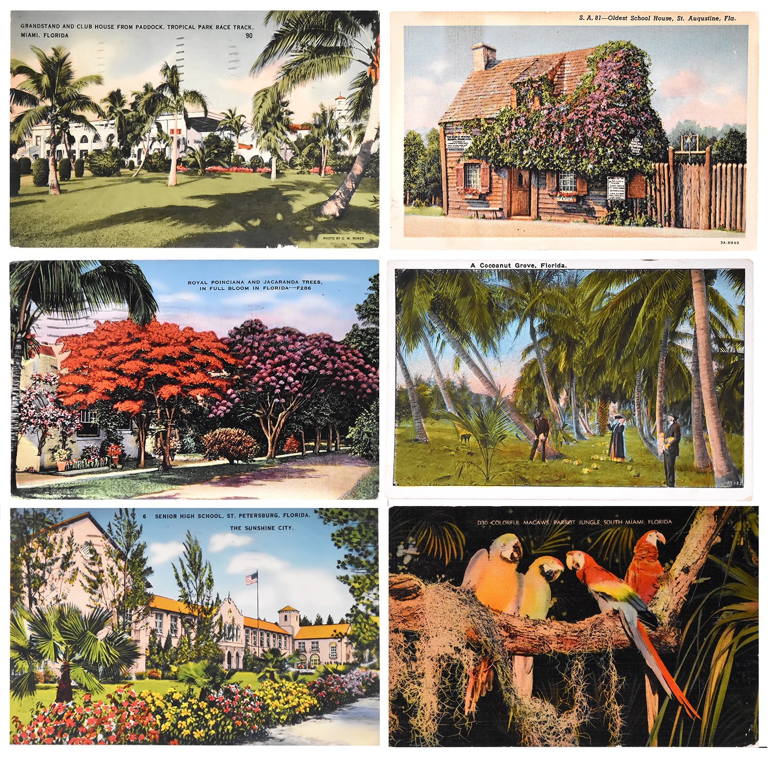 1940-1949 Lot x 6 Vintage Hand-Colored Lithographs Florida Postcards – PC80