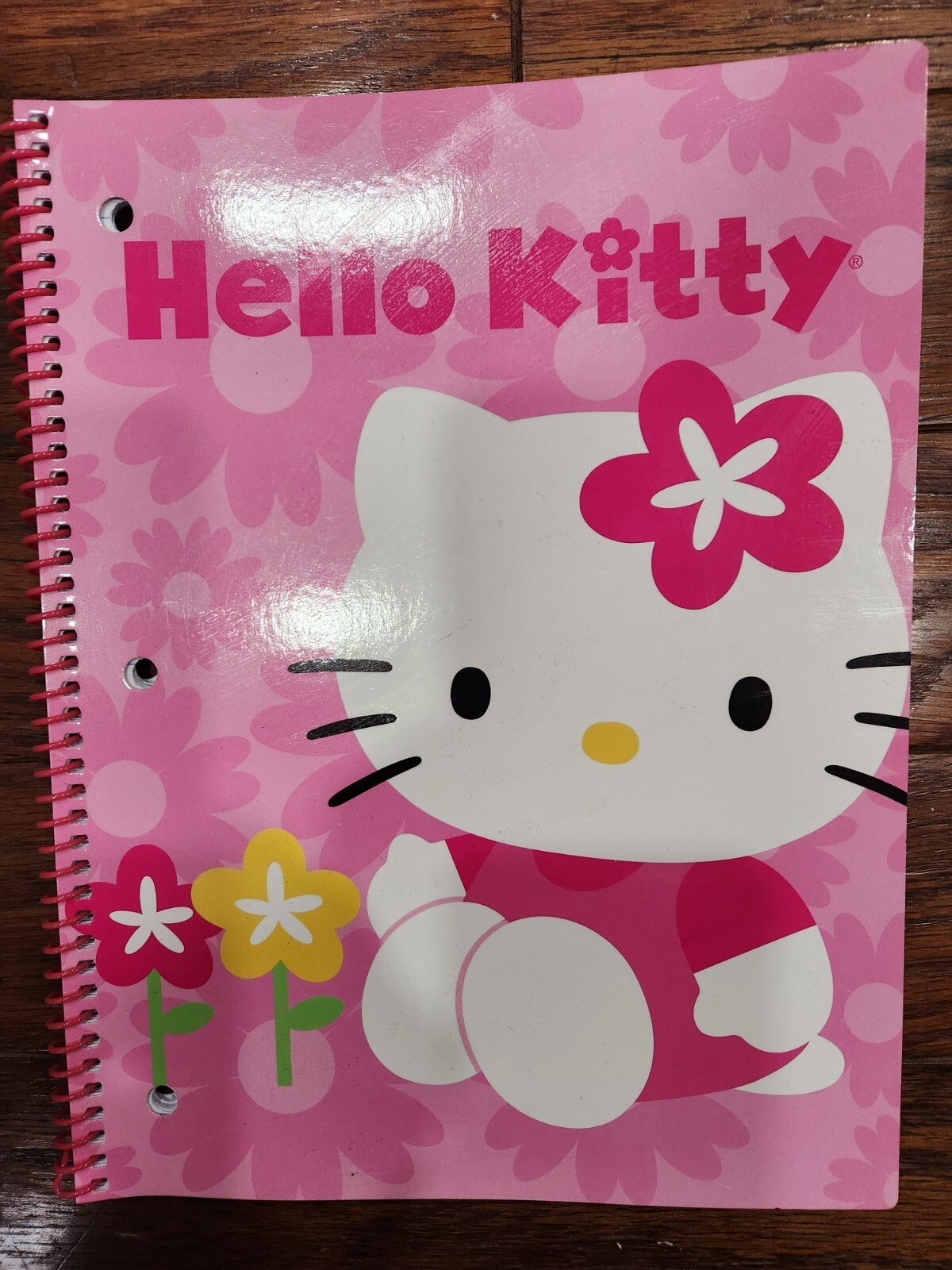 NEW HELLO KITTY SPIRAL NOTEBOOK 60 SHEETS 10.5 IN X 8 IN SANRIO 2013