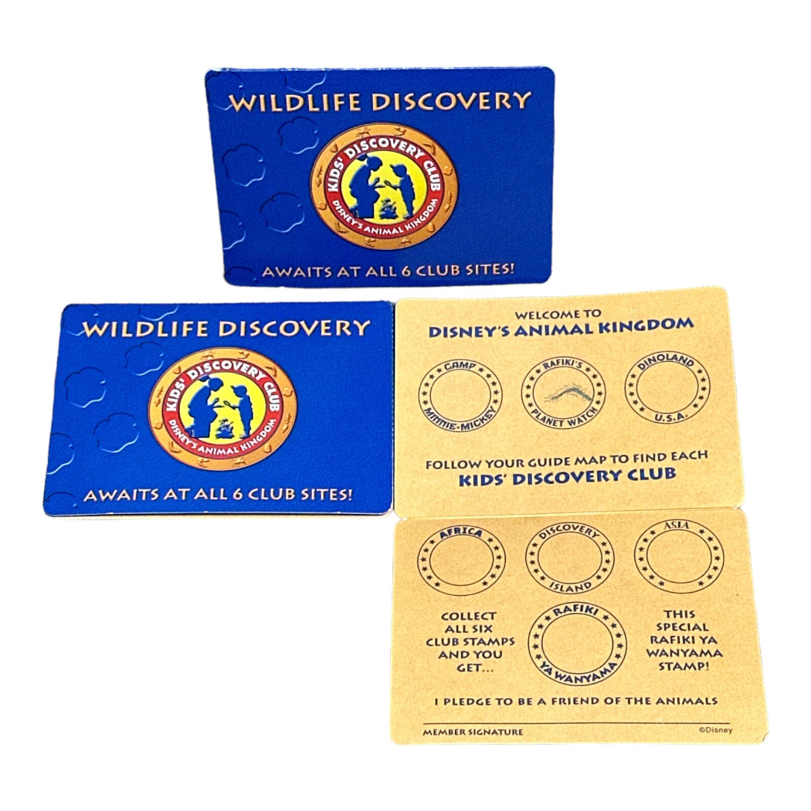 3 Disney Animal Kingdom Kids Discovery Club Stamp Membership Cards Souvenir