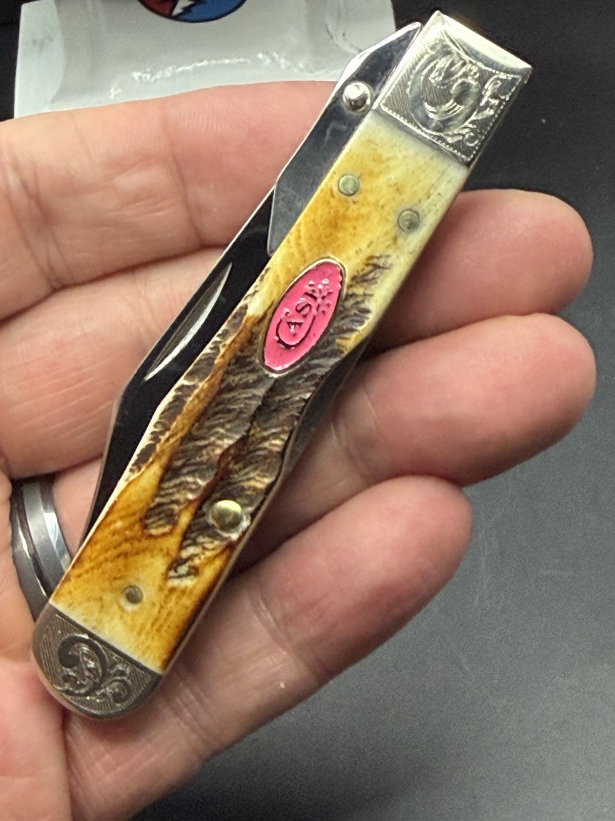 Case XX Pink Scroll BoneStag Cheetah Cub SFO BB’s Scrolled Bolsters 1 of 125