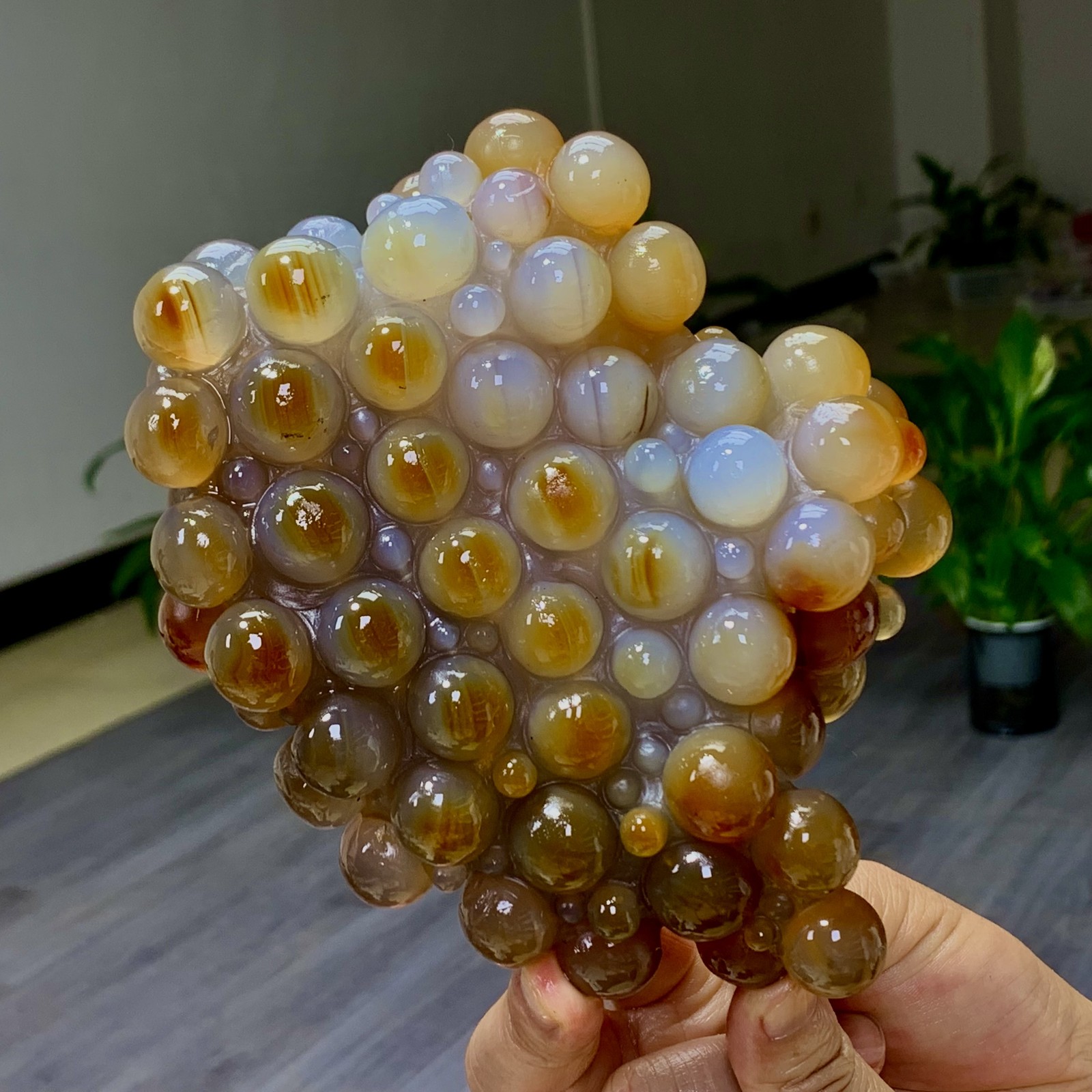2.25LB Natural Gobi Agate Eye Agate grape shape Crystal Madagascar mineral