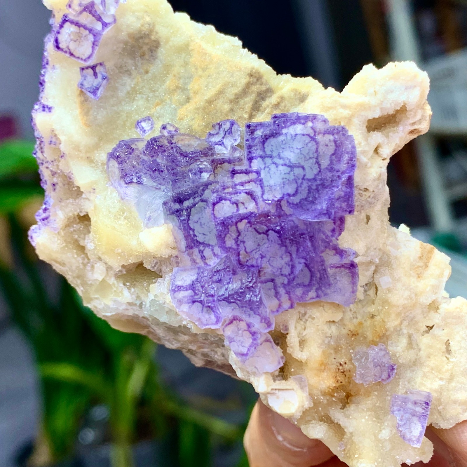 150G Natural Purple green QR code fluorite Cube Crystal Mineral Specimen