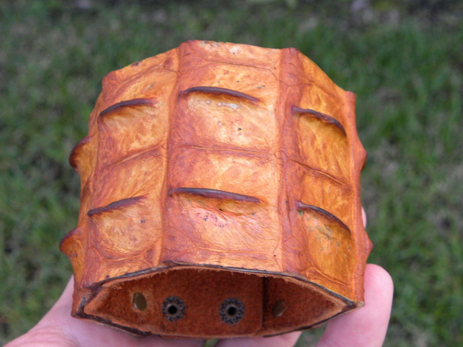 Cuff bracelet genuine Alligator Crocodile skin horn Bison leather for 7.25 wrist