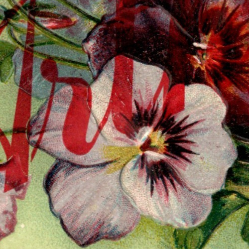 Antique Postcard Divided Back Embossed Greetings Flowers “Arthur” (?) Imprint