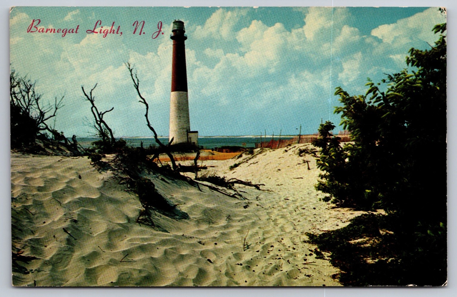 Vintage Barnegat Light NJ Lighthouse Chrome Postcard New Jersey Shore